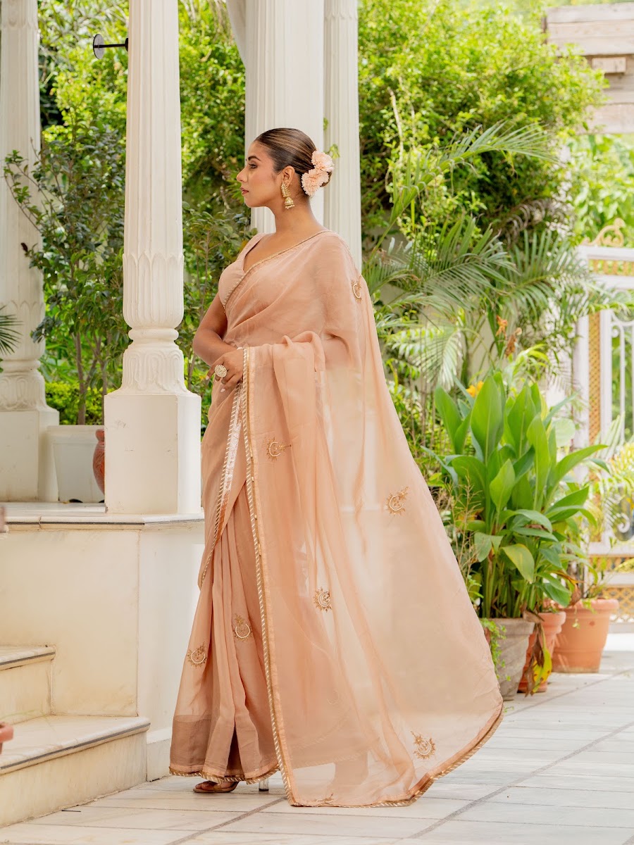 Paaro Rose Gold Organza Silk Saree alternate angle